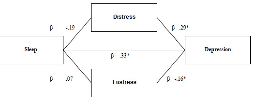 Figure 2. Overview results. *p < .001, Total effect β = .38.  