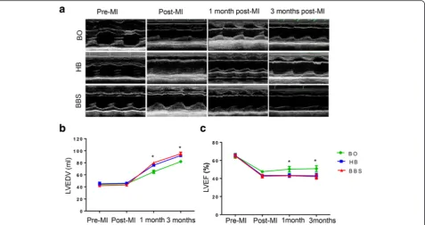 Fig. 6 Echocardiographic evaluation of cardiac function. a Representative M-mode echocardiographic data of hearts at different time points inthree groups