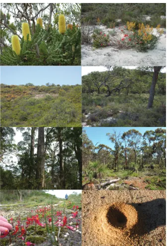 Figure 1:   Plants and plant communities in south-western Australia’s global biodiversity hotspot