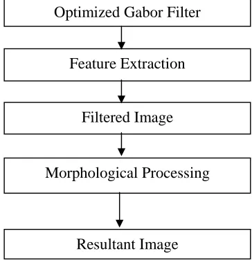 Fig 4 (a) Original image (b) Convoluted Gabor filter image (c) Segmented imageFigure 5 consists of a Zig Zag crack in a tile  