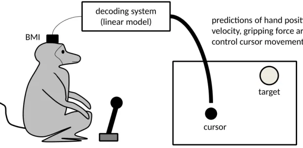 Figure 2 - The experimental set-up in the brain control phase, with the decoder directly controlling the cursor.
