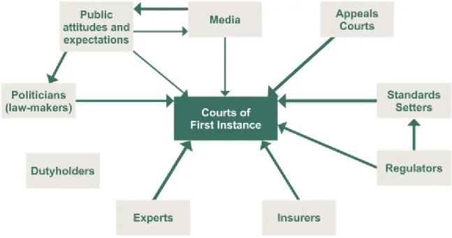 Figure 3: Risk Actors Influence on First Instance Courts
