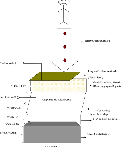 Figure 1: Sensor Film Design 