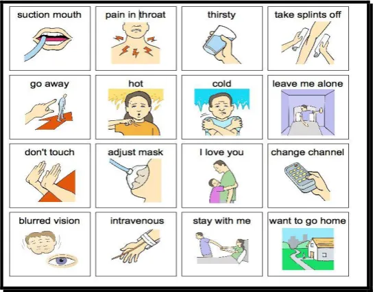 FIGURE 4.2: SAMPLES OF SYMBOLS IN THE WIDIGIT SOFTWARE 