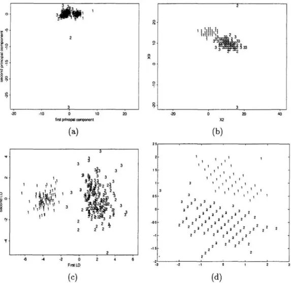 Figure  3:  (a)  Data visualization  by  two  principal components;  the spatial  relation  between  patterns  is  not  clear 