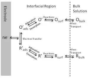 Figure 1-1: A schematic of the processes undergone in basic dynamic 