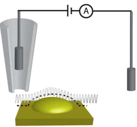 Figure 1-14: A schematic showing ac mode SICM. 