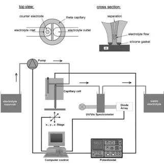Figure 1-19: A schematic of the capillary flow cell system.114