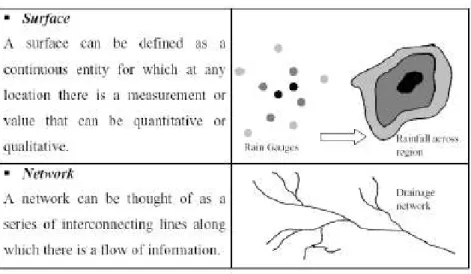 Figure 2.  Surface and network entities.