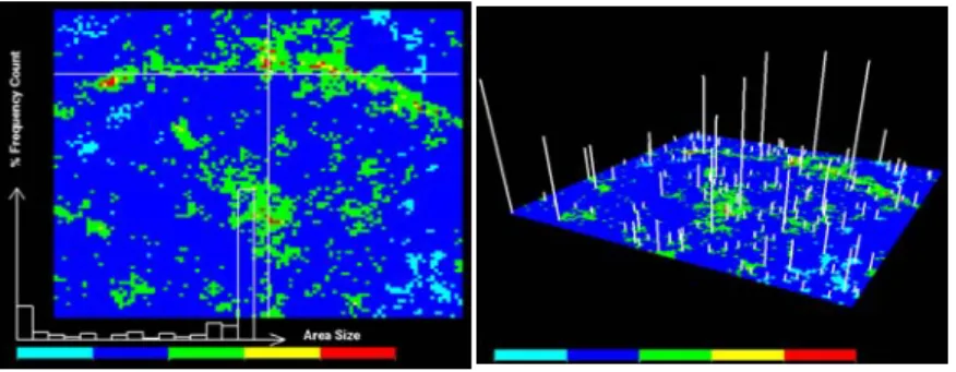 Figure 5: (a) Interactive probing. The histogram on the bottom shows the distribution of different clump area size that contains the pixel under the cross-hair