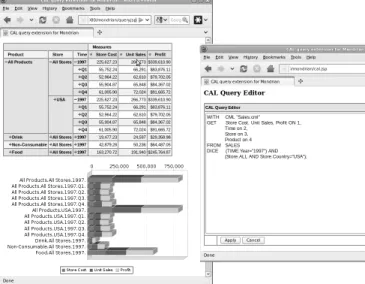 Figure 1: CAL query editor and results of OLAP analysis using the Cube Markup Language (CML) and Cube Analysis Language (CAL) extensions on Mondrian[6].