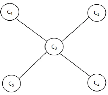 Figure 2.14  A star network consisting of five nodes and four connections, where the hub of the network, node C3, is the most central node 
