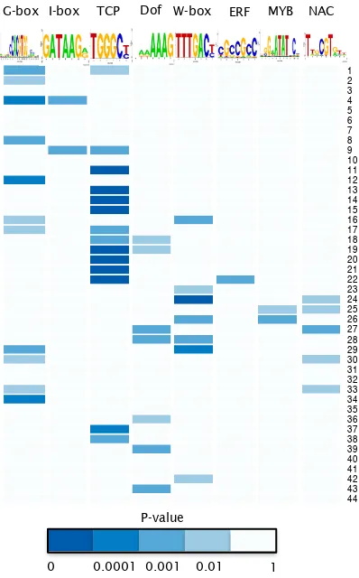 Figure 4.12: Overrepresentation of known TF binding motifs in promoters of co-representation of known TF binding motifs