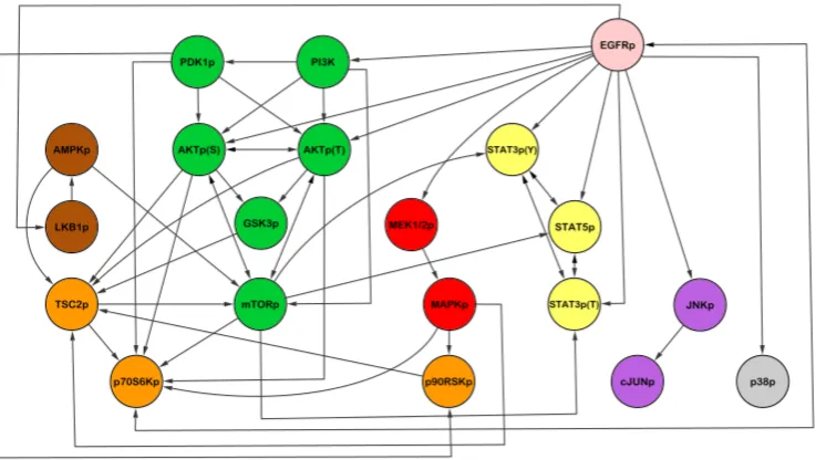 Figure 4.2:. Edges representinteractions through time. Each node also has a self-loop edge (i.e