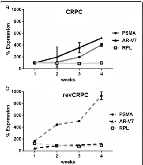 Fig. 7 Time-dependent changes of 68Ga-PSMA-HBED-CC uptake 1 and 3 h after application in abiraterone-tolerant cells 48 h (CRPCAA) afterabiraterone acetate (AA) withdrawal with or without additional application of 1 nmol/L testosterone (T)