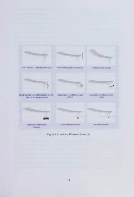 Figure 2.2: Various AFM techniques [3). 