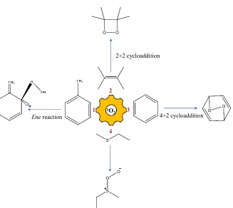 Figure 2.3. Singlet Oxygen reaction pathways; Ene reaction (1), 2+2 cycloaddition (2), 4+2 cycloaddition (3), and addition 