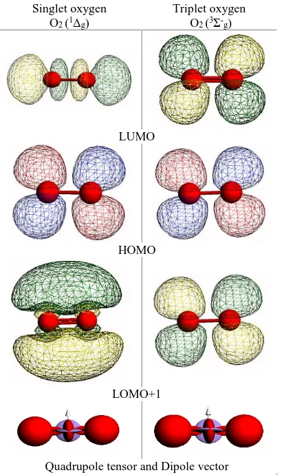 Figure 2.4.  Singlet and triplet oxygen HOMO, LUMO, and LUMO+1 molecular orbital maps along with their respective 