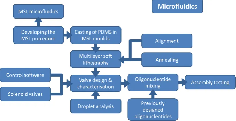 Figure 1.6: Flow chart describing the process for the development, assembly and testing of the microfluidic oligonucleotide mixing chip used in this project (see chapters 5 and 6)