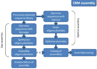 Figure 1.7: Flow chart describing the CRM assembly process used in this project (see chapter 8)