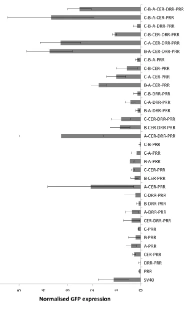 Figure 2.4: Combinatorial plasmid expression for previously identified CRMs in differentiating C2C12 cell cultures