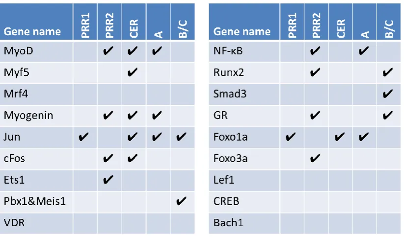 Table 2.3: Summary of results from ChIP experiments. Tick marks represent a positive result indicating binding of the factor to the indicated regulatory region