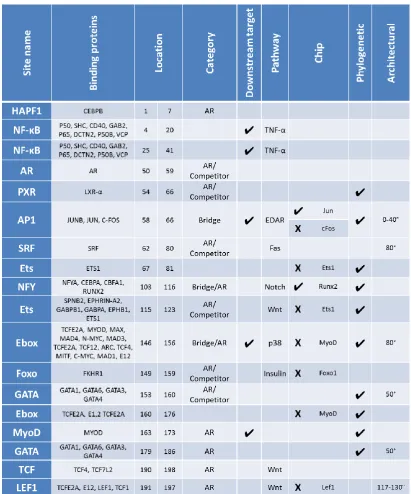 Table 2.6: Factors affecting the prioritisation of binding sites in CRM-B. 