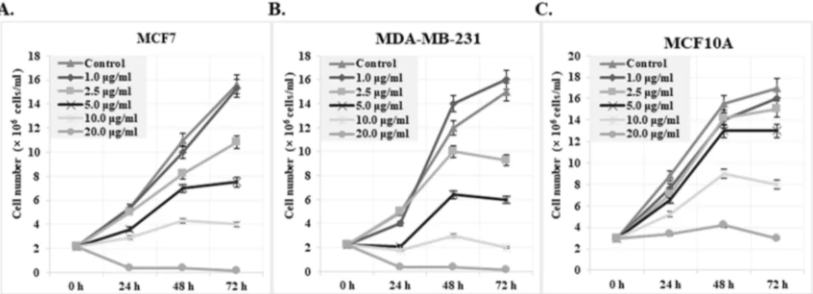 Figure 2: Effect of cis-khellactone on the cell proliferation and viability of MCF7, MDA-MB-231, and MCF10A breast  cancer and normal cell lines