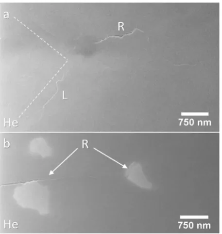 Fig. 3. Uncoated helium ion imaged SN-1 radial cracks. (a) Radial crack, R,visible at surface emanating from a 0.5 kg indentation corner (dashed line)Along the indentation edge a lateral crack, L, is visible