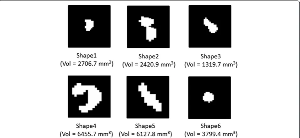 Figure 2 Original binary masks (axial view) of example lesion shapes created from real patient data