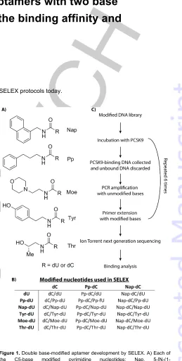 Figure 1. Double base-modified aptamer development by SELEX. A) Each of 