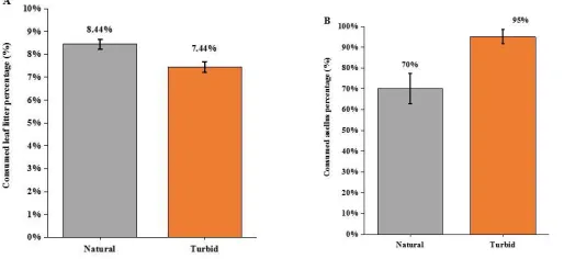 Figure 3: (A) Comparison of consumed leaf litter weight percentage under natural and turbid environment (± 1SE); 