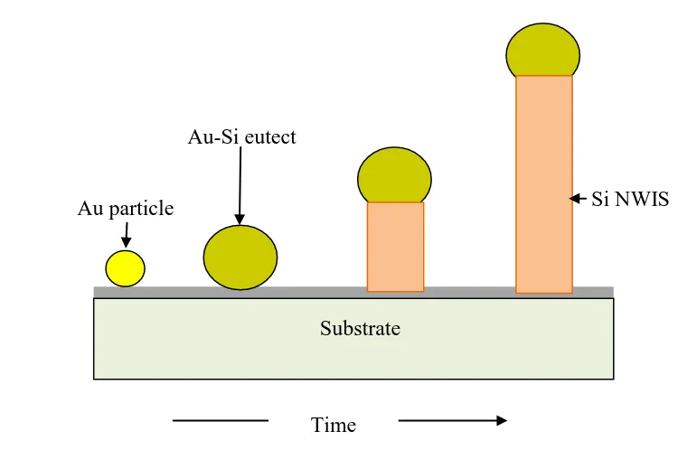 Figure 2.1: VLS of SiNWs with Au catalyst 