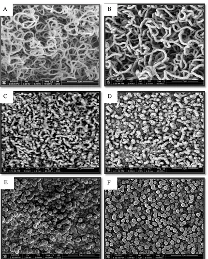 Figure 5.1: FESEM images for SiNWs prepared using Al catalyst thicknesses of (A) 10nm,  (B) 20nm, (C) 40nm, (D) 60nm, (E) 80nm and (F) 100nm.