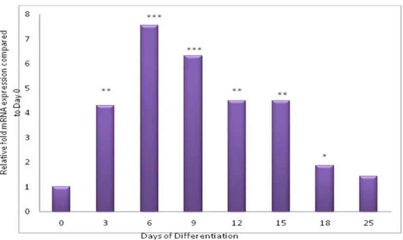 Figure 4.3.1.1 PPAR mRNA expression in Chub-S7 cells. This figure shows therelative fold difference in PPARγ mRNA expression, with Day 0 taken as 1