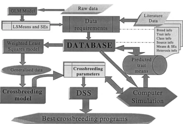 Figure 1.1 Flow chart of the DSS project 