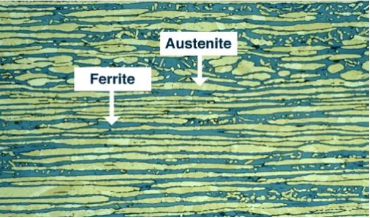 Figure 1.1 Shows a Duplex microstructure of ferrite and austenite phases [11]   