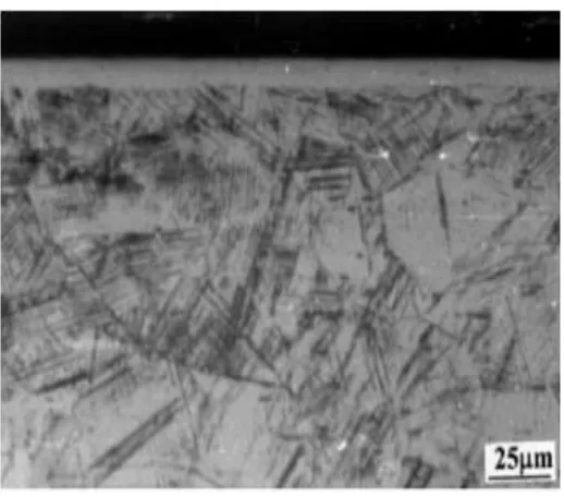 Figure 2.1:  Shows a cross-section micrograph of austenitic stainless steel film grade 304 deposited at 420C for 70 min [24]