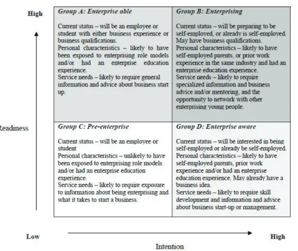 Figure 1: Diagnostic framework for young entrepreneurs