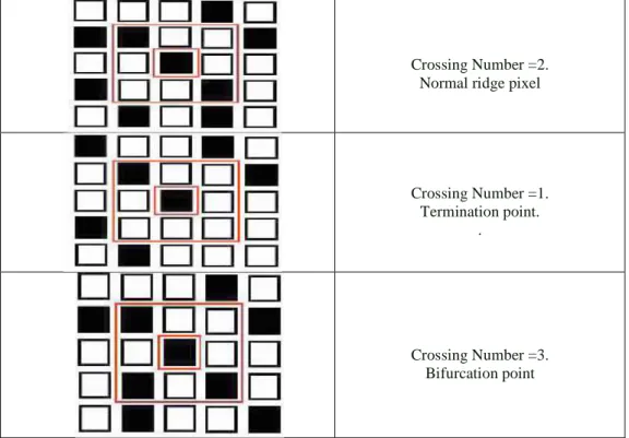 Figure 4: Crossing Number and Type of Minutiae. 