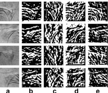 Fig. 7. Examples of directional responses derived using Sobel operator. (a) Original palm print images; (b–e) components of the images in the horizontal, vertical, positive 45°, and negative 45° directions.