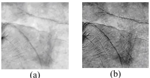 Figure 5: (a) The original palm print, (b) palm print after  the contrast adjustment and smoothing effect
