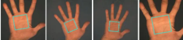 Figure 11: Some tracking results of the proposed palm  print tracking algorithm in semi-controlled environment