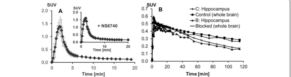Figure 3 Time-activity curves obtained during PET experiments. (A) The metabolite-corrected plasma samples
