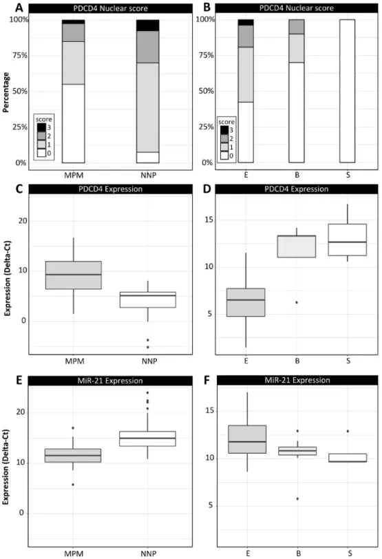 Figure 1: Immunohistochemical and qRT-PCR data analysis in MPM and NNP cohorts.  (A-B) distribution of IHC-based  nuclear scores of PDCD4 in the two cohorts (A) and in the MPM histological subtypes (B); (C-D) PDCD4 expression in terms of ΔCt  values in the