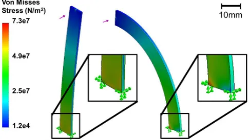 Figure 4. Finite element analysis of two cantilevered beams of thesame properties under the same loading force