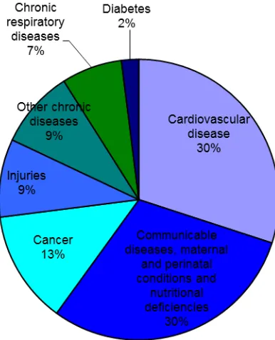 Figure 9: Projected Main Causes of Death, worldwide, all ages, 2005 Source: World Health Organisation (2005) 