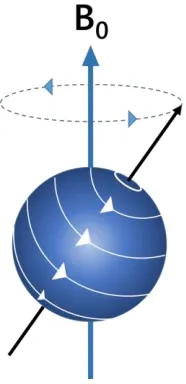 Figure 1.4 Single spin angular magnetic moment 