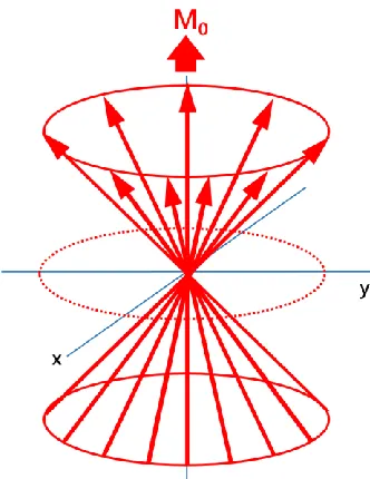 Figure 1.6 Orientation and precession of nuclear spins 
