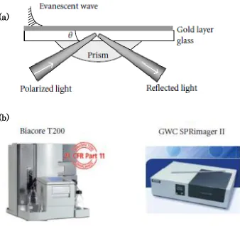 Figure 2.6: Surface plasmon resonance technique which employing light excited plasmons to sense the changes in the immobilized biological layer (a), commercially available SPR detection system - Biacore SPR T200 and GWC SPRImagerII (b) [62]